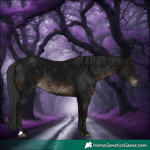 Horse Color:Brown Ice 