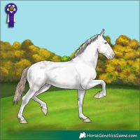 Horse Color:Amber Champagne Dun Appaloosa Brindle 