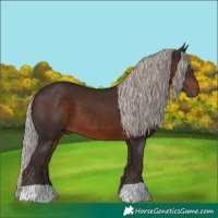 Horse Color:Silver Brown 