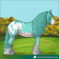 Horse Color:Watercolor Smoky Black Sabino Appaloosa 