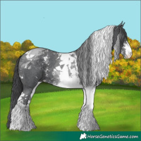 Horse Color:Black Sabino Tobiano