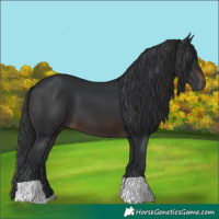Horse Color:Brown 