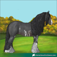 Horse Color:Brown Sabino 