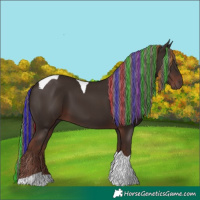 Horse Color:Painted Liver Chestnut Tobiano 