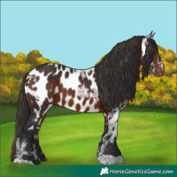 Horse Color:Brown Ice Near Leopard 