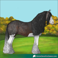 Horse Color:Brown Splash