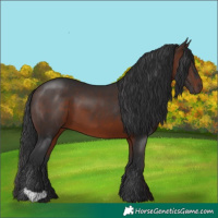 Horse Color:Brown 