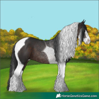 Horse Color:Brown Splash Tobiano 