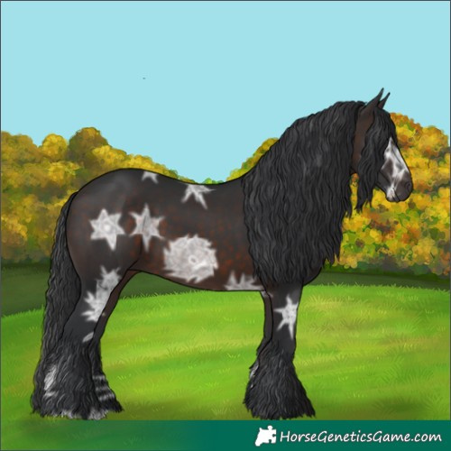 Horse Color:Brown Ice 