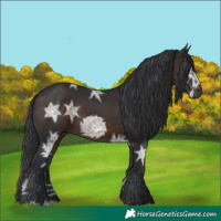 Horse Color:Brown Ice 