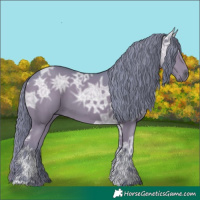 Horse Color:Watercolor Black Ice