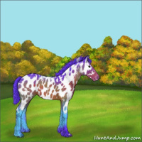 Horse Color:Watercolor White Spotted Brown Appaloosa 