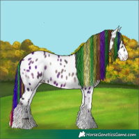 Horse Color:Painted Blue Onyx Appaloosa 