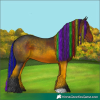 Horse Color:Painted Brown 