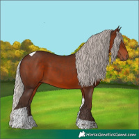 Horse Color:Silver Brown Tobiano 