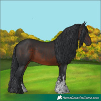 Horse Color:Brown Sabino