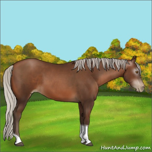 Horse Color:Gray Silver Black Pearl Tobiano 