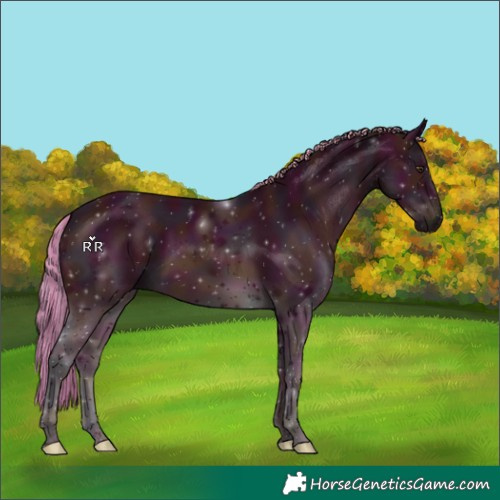 Horse Color:Watercolor Midnight Chestnut 