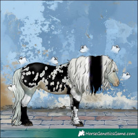 Horse Color:Watercolor Silver Brown Dun Tobiano Appaloosa Rabicano 