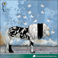 Horse Color:Watercolor Silver Brown Dun Tobiano Appaloosa Rabicano