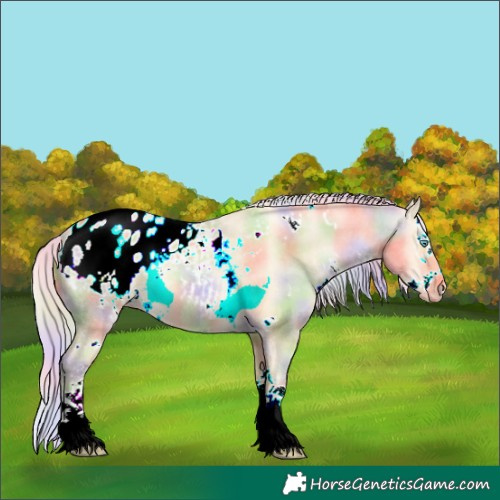 Horse Color:Nacre White Spotted Silver Buckskin Pearl Dun Sabino Splash Appaloosa Rabicano 