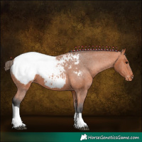 Horse Color:Bay Tobiano Snowcap