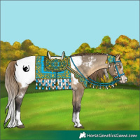 Horse Color:White Spotted Buckskin Dun Splash Appaloosa Rabicano