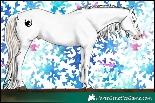 Horse Color:Palomino Dun Tobiano Varnish Rabicano