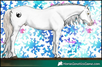 Horse Color:Palomino Dun Tobiano Varnish Rabicano