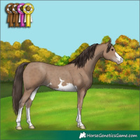 Horse Color:Classic Champagne 