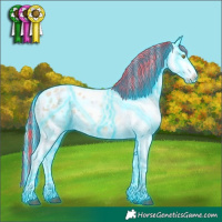 Horse Color:Painted Thunderstruck Red Dun Pearl Sabino Appaloosa 
