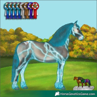 Horse Color:Thunderstruck Blue Onyx Sabino Varnish 
