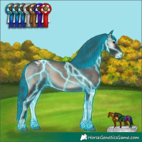 Horse Color:Thunderstruck Blue Onyx Sabino Appaloosa 