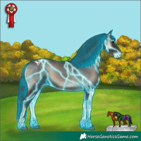 Horse Color:Thunderstruck Blue Onyx Sabino Appaloosa 