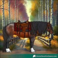 Horse Color:Brown 