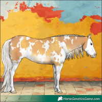 Horse Color:White Spotted Silver Bay Dun Splash