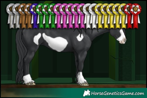 Horse Color:Black Frame