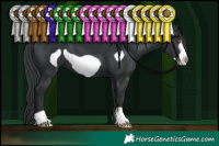 Horse Color:Black Frame 