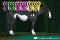 Horse Color:Black Frame 