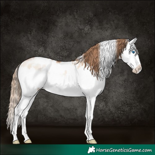 Horse Color:White Spotted Brown Pearl Dun Mushroom Splash 