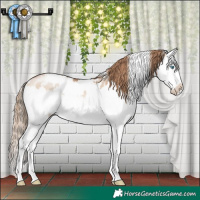 Horse Color:White Spotted Brown Pearl Dun Mushroom Splash 