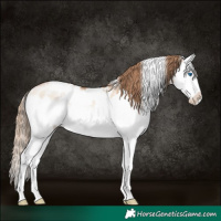 Horse Color:White Spotted Brown Pearl Dun Mushroom Splash