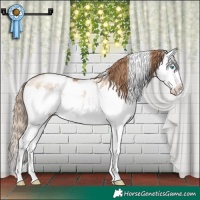 Horse Color:White Spotted Brown Pearl Dun Mushroom Splash 