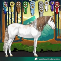Horse Color:White Spotted Bay Pearl Dun Mushroom Sabino Splash 