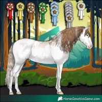 Horse Color:White Spotted Bay Pearl Dun Mushroom Sabino Splash 