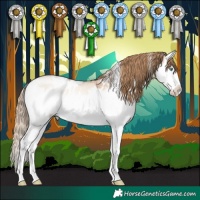 Horse Color:White Spotted Bay Pearl Dun Mushroom Sabino Splash