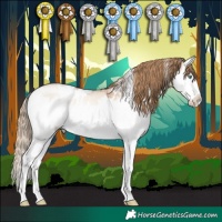 Horse Color:White Spotted Bay Pearl Dun Mushroom Sabino Splash 