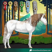 Horse Color:White Spotted Bay Pearl Dun Mushroom Sabino Splash