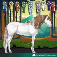 Horse Color:White Spotted Bay Pearl Dun Mushroom Sabino Splash 