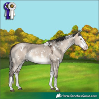 Horse Color:White Spotted Brown Dun Mushroom Sabino Splash 